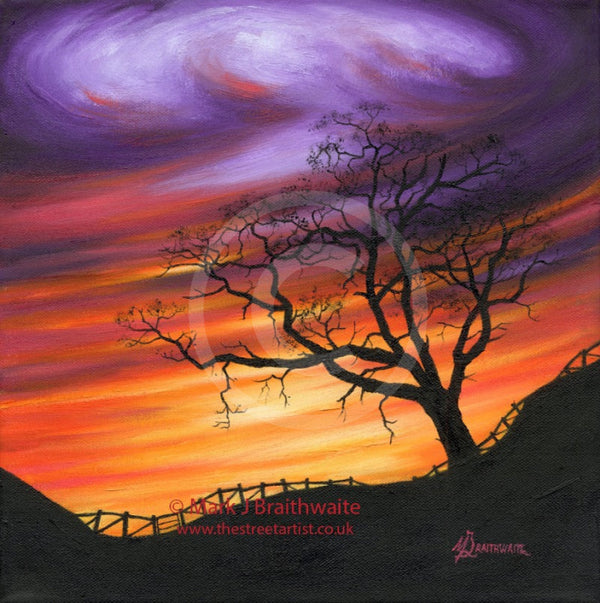 Twilight Skies, The Lonely Tree by Mark Braithwaite