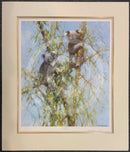 Up A Gumtree by David Shepherd Limited Edition Koala Print- Last One