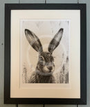 Watching Hare III (portrait) by Nolon Stacey Framed in medium groove black