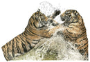 Water Warriors By Nicola Gillyon 400 X 500Mm / White Mount