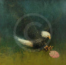 Where Eagles Dare, Bird of Prey Print by Amanda Stratford 