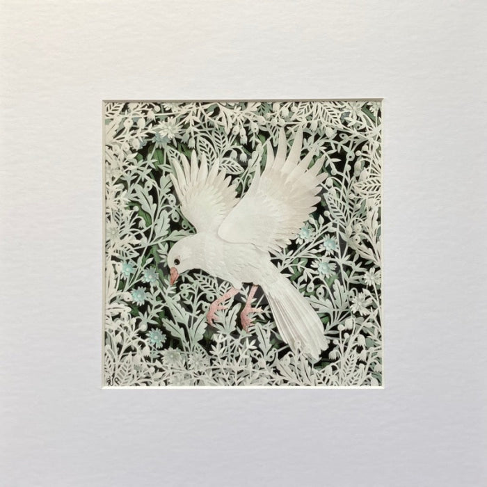 White Winged Dove, Giclée Print by Anna Cook