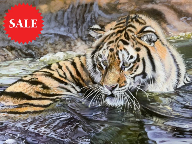 Who’s There, Limited Edition Wildlife Big Cat Lion Print by Lyndsey Selley