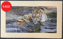 Who’s There, Limited Edition Wildlife Big Cat Lion Print by Lyndsey Selley