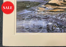 Who’s There, Limited Edition Wildlife Big Cat Lion Print by Lyndsey Selley