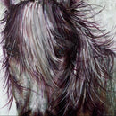 Wild, Equestrian Horse Print by Amanda Stratford 