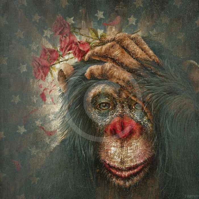 Wilted Chimp / Monkey Print By Amanda Stratford Only