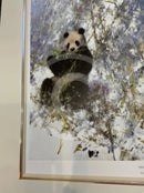Winter in Wolong by David Shepherd, Panda Wildlife Limited Edition Print. LAST ONE