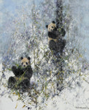 Winter in Wolong by David Shepherd