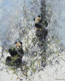 Winter in Wolong by David Shepherd