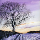 Winters Solitude By Mark Braithwaite