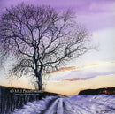 Winters Solitude By Mark Braithwaite