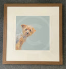 Yorkie by Nicky Litchfield - Yorkshire Terrier Dog Print - Framed WH Large Block Warm Brown (C)