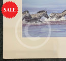 Zebra In Water, Limited Edition Zebra Print by Lyndsey Selley