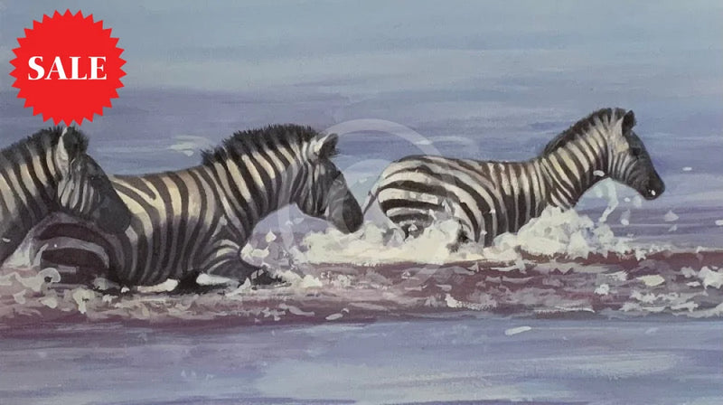 Zebra In Water, Limited Edition Zebra Print by Lyndsey Selley