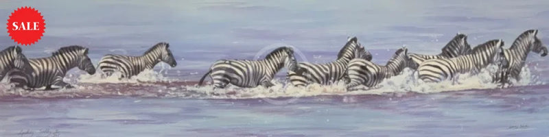 Zebra In Water, Limited Edition Zebra Print by Lyndsey Selley