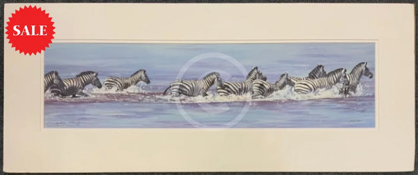 Zebra In Water, Limited Edition Zebra Print by Lyndsey Selley