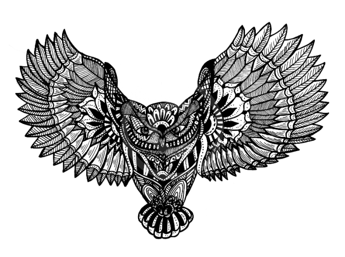 Athena The Owl By Emily Child