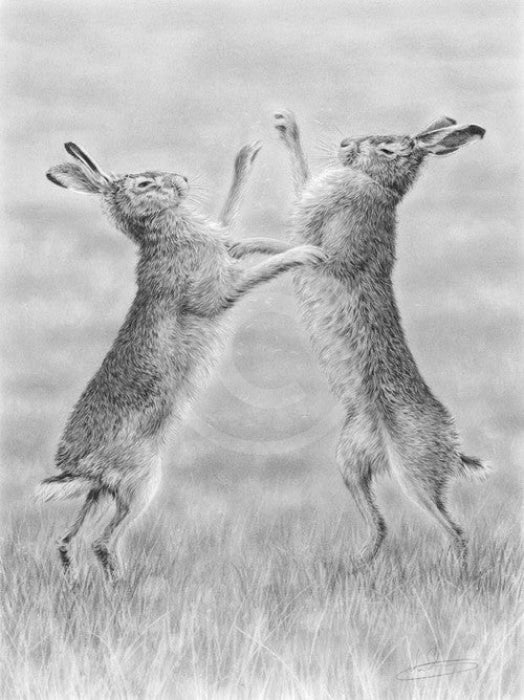 Boxing Hares By Nolon Stacey
