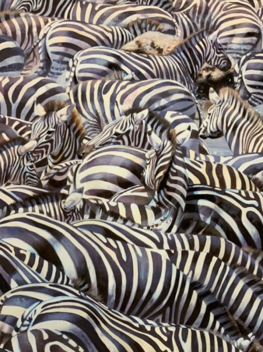 Confusion At The Edge, Limited Edition Zebra Print by Lyndsey Selley