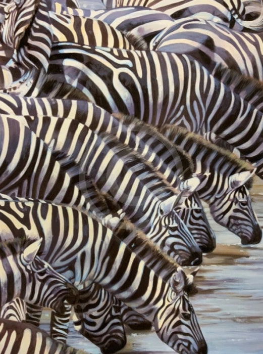 Confusion At The Edge, Limited Edition Zebra Print by Lyndsey Selley