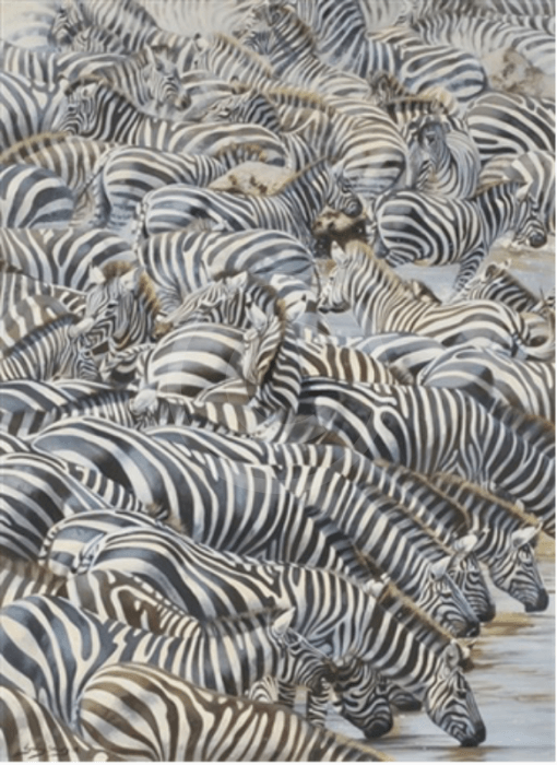Confusion At The Edge, Limited Edition Zebra Print by Lyndsey Selley