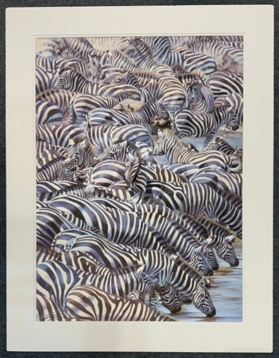 Confusion At The Edge, Limited Edition Zebra Print by Lyndsey Selley