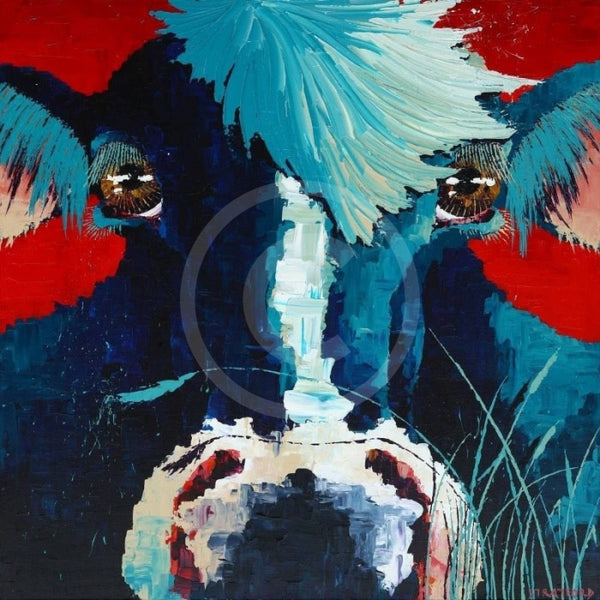 Cow's Lick by Amanda Stratford