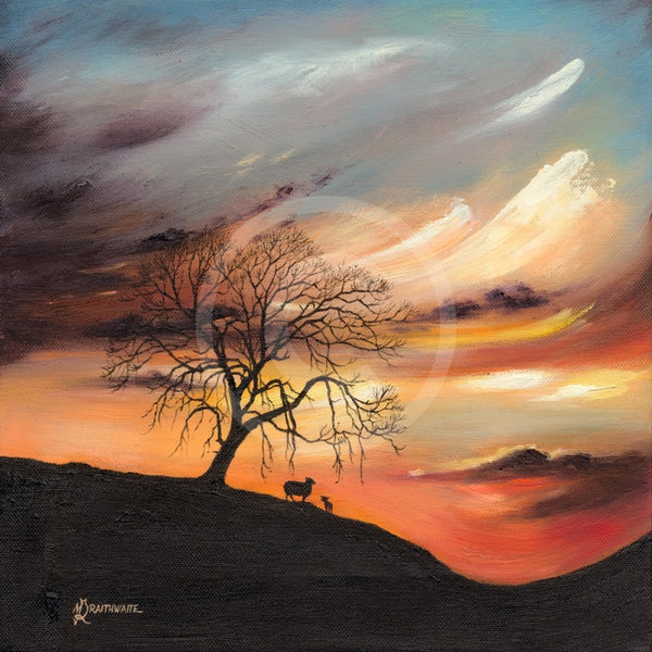 Cyan Sunset, The Lonely Tree by Mark Braithwaite