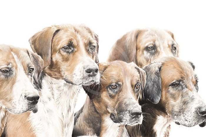 Expectation, Foxhounds by Nicola Gillyon