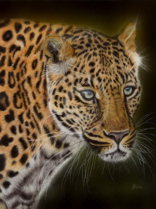 Fixation (Leopard) by Janine Lees
