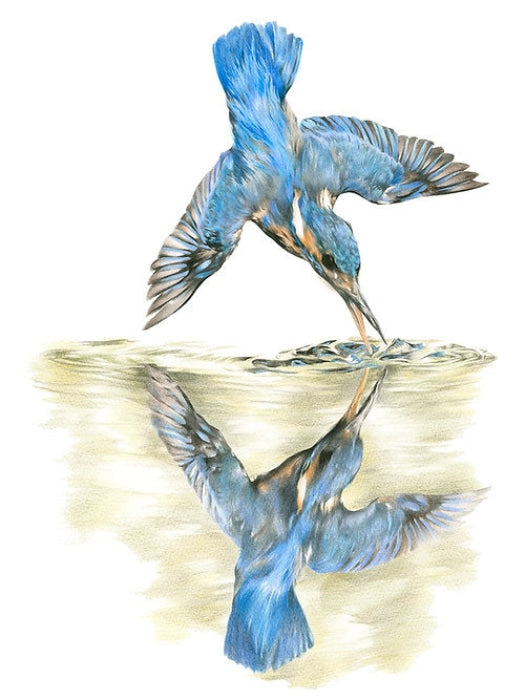 Gone Fishin’ Kingfisher by Nicola Gillyon