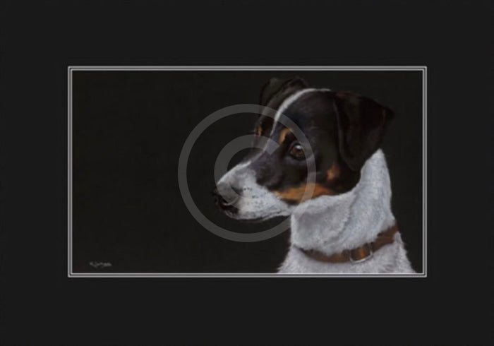 Jack, Limited Edition by Kay Johns