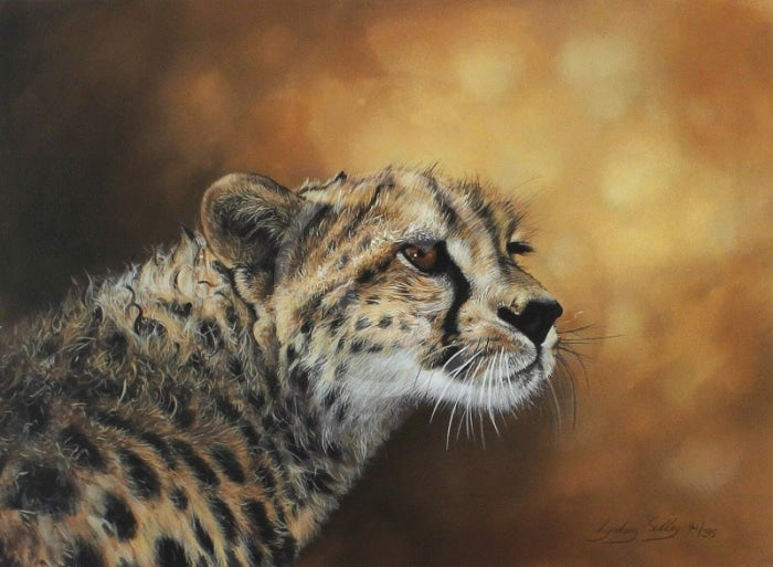 Junior, Wild Cat Limited Edition Print by Lyndsey Selley
