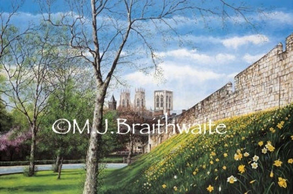 Large The City Walls By Mark Braithwaite