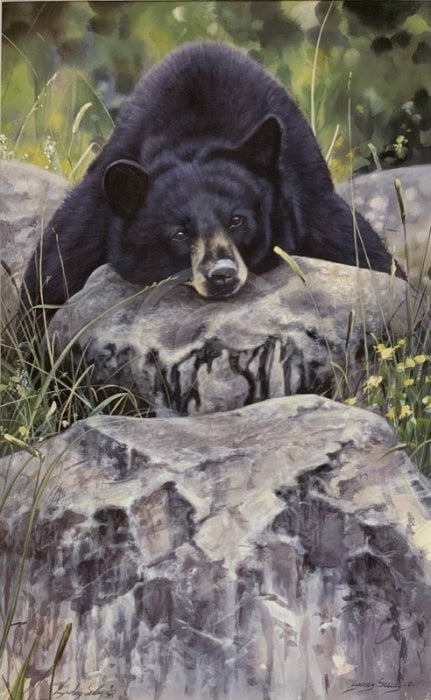 Lazy Days Bear, Limited Edition Wildlife Bear Print by Lyndsey Selley