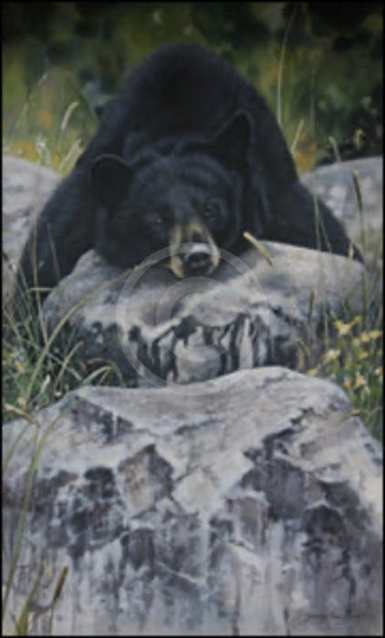 Lazy Days, Bear print by Lyndsey Selley