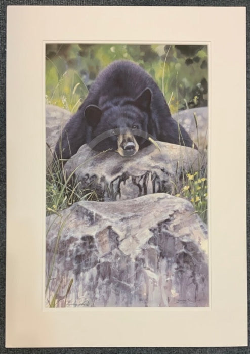 Lazy Days Bear, Limited Edition Wildlife Bear Print by Lyndsey Selley