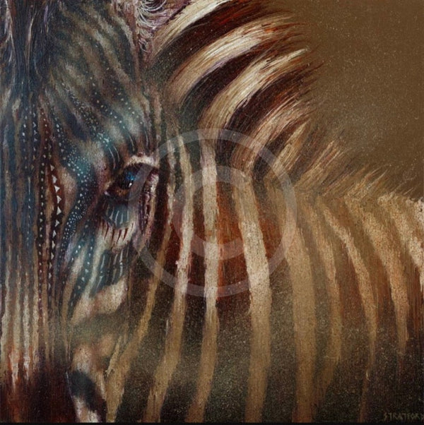 Lines of Sight Zebra Print by Amanda Stratford 