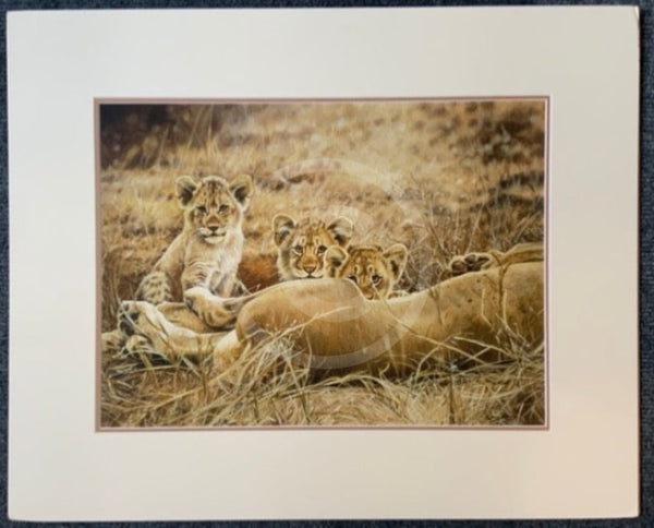 Lioness & Cubs, Limited Edition Wildlife Big Cat Print by Lyndsey Selley