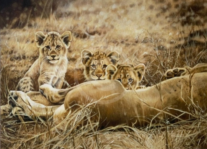 Lioness & Cubs, Limited Edition Wildlife Big Cat Print by Lyndsey Selley