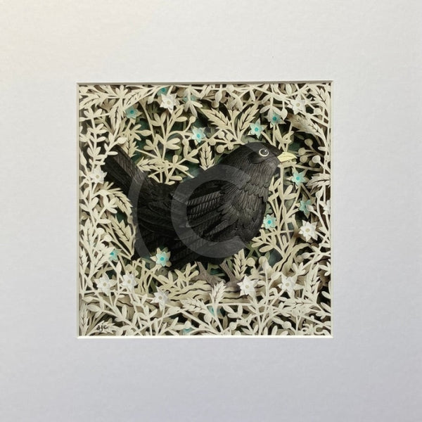 Little Blackbird, Giclée Print by Anna Cook