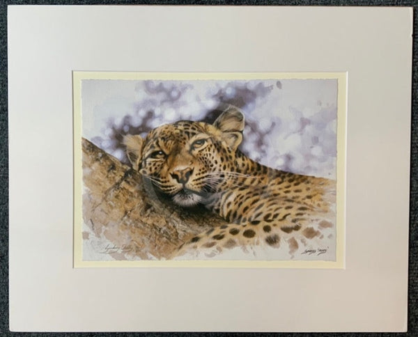 Mischief,  Limited Edition Wildlife Big Cat Leopard  Print by Lyndsey Selley