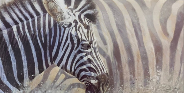 Mix & Match, Zebra Limited Edition Print by Lyndsey Selley