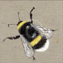 Mr Bumbles (Mounted) By Louise Luton