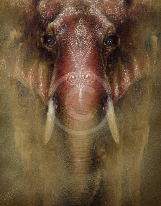Never Forget, Elephant Print by Amanda Stratford 