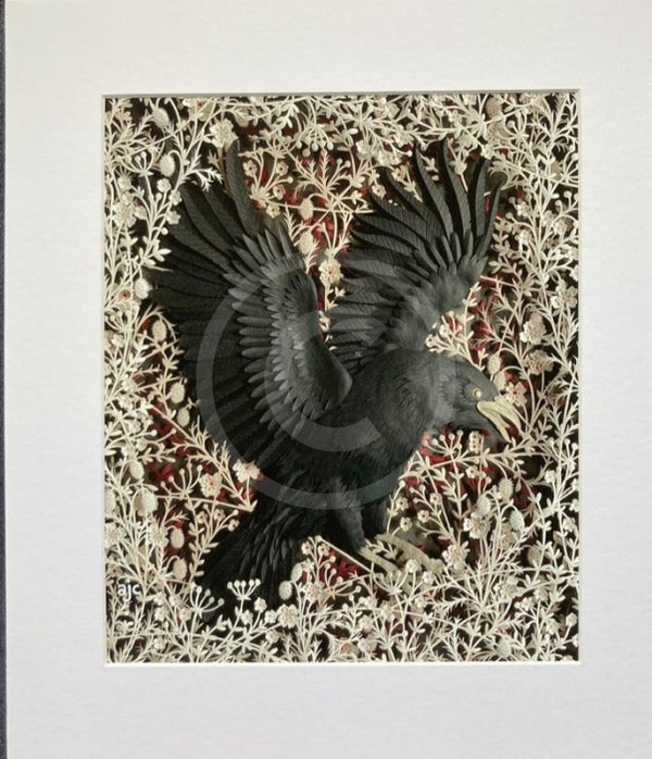 Night Glider, Giclée Print of a Crow by Anna Cook