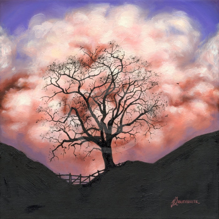 Marshmallow Skies, The Lonely Tree by Mark Braithwaite