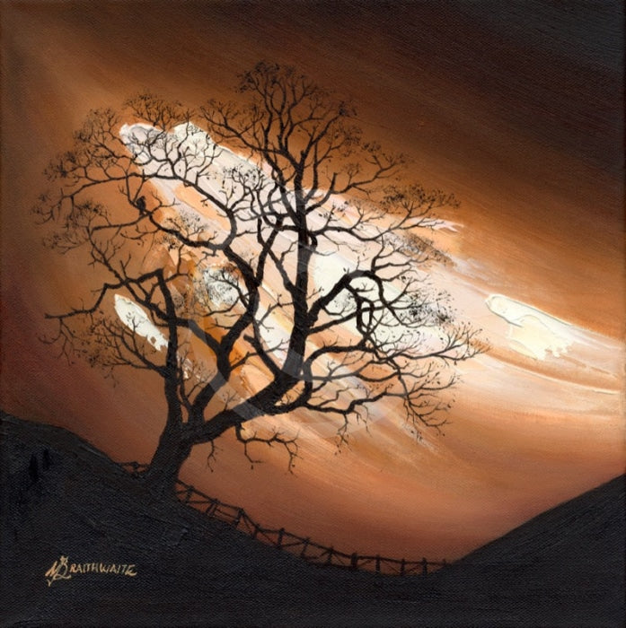 Mocha Skies, The Lonely Tree by Mark Braithwaite