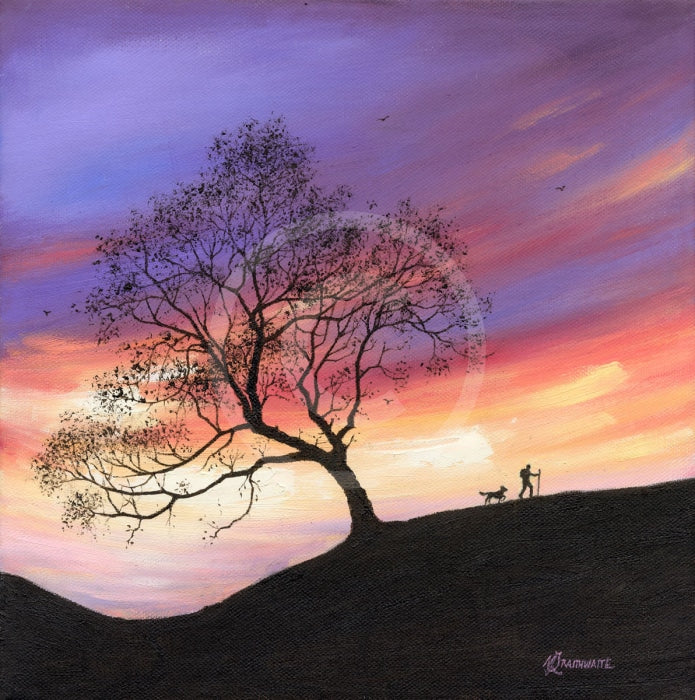 Purple Haze, The Lonely Tree by Mark Braithwaite